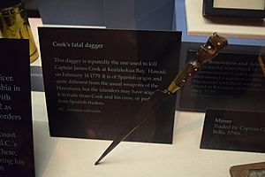 Cook dagger
