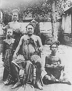 Dewa Agung in 1908