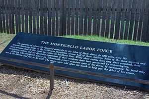 Monticello labor force