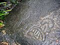 Petroglyphsstjohnusvi