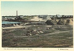 StateLibQld 2 258410 Brilliant and St. George Mill and works, Charters Towers, 1904