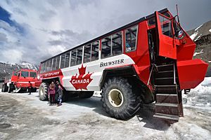 Tourist Bus at Columbia Icefields