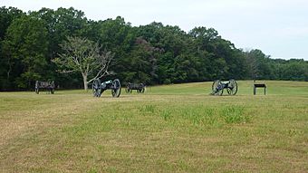 Union Howitzers Henry Hill.JPG