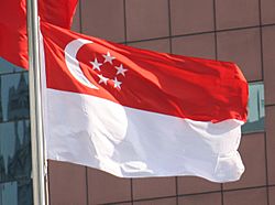 2012 Flag of Singapore Photo