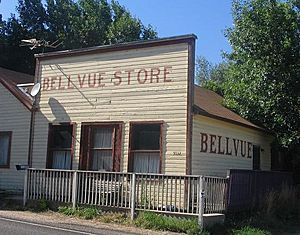 Bellvue-Store.JPG