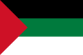Flag of Hejaz 1917