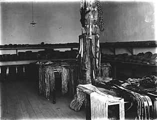 Interior of Ferry Museum showing Native American artifacts, Tacoma, Washington, ca 1911 (BAR 258)
