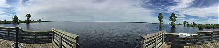 Lake Drummond panoramic 2016