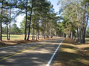 A scenic stretch of Highway 598 in Sanford