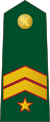 Spain-Civil Guard-OR-9b.svg