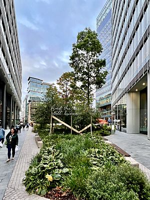 Central landscaped area of Spinningfields.jpg