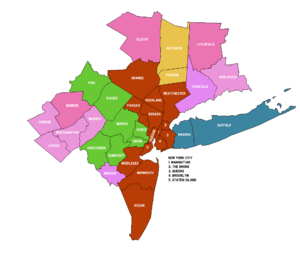 New York Metropolitan Area Counties 2013