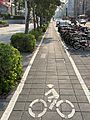 Pavement with a bicycle priority lane in Taipei