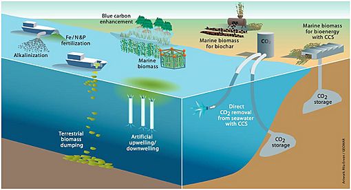 Proposed marine carbon dioxide removal options