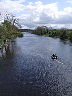 River Shannon from Drumsna bridge.jpg
