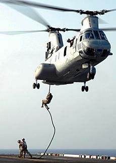 US Navy 080925-N-2074H-085 Marines practice fast-rope techniques