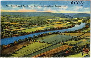 View from Council Cup showing the Susquehanna River, Pennsylvania (38601)