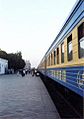 Bukhara train