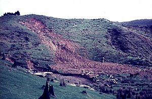 Debris Avalanche in New Zealand