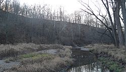 Steep wooded slope rising above creek