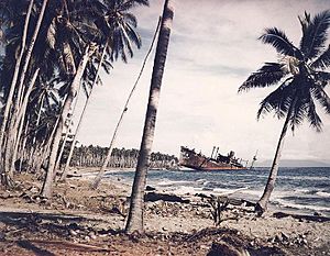 Japansese transport Kinugawa Maru beached and sunk on the Guadalcanal shore, in November 1943 (80-G-K-1467-A)