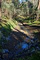 A small stream leading in Station Creek Fraser Block Lake Eildon National Park 2022