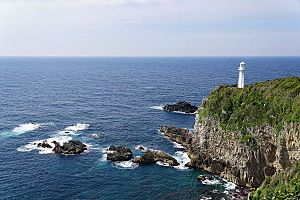 Cape Ashizuri - 足摺岬 - panoramio (11)