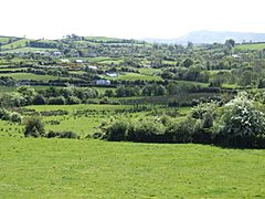 Countryside west of Ballynahinch - geograph.org.uk - 466768