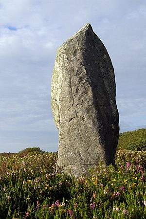 Dry Tree menhir, Goonhilly Downs - geograph.org.uk - 526157