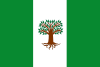 Flag of Pachavita