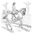 Horsemanship for Women 086