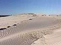 Lancelin Sand Dunes 2