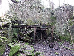Millbank Mill ruins, Lochwinnoch - mill machinery