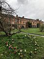 Somerville College Library with hyacinths
