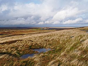 Moorland with Stone building in the distance.