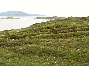 Old lazybeds on North Harris