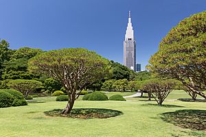 Shinjuku Gyoen National Garden and NTT DoCoMo Yoyogi Building, Tokyo, Japan
