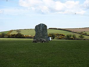 Standing stone east of Llanfechell - geograph.org.uk - 1254434