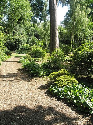 A peaceful June scene at RHS Wisley - geograph.org.uk - 847175