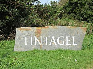 Around Tintagel, Cornwall (461181) (9458675814)