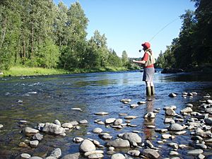 Fly fishing on the South Santiam