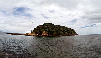 Goat Island 1, Hauraki Gulf.jpg