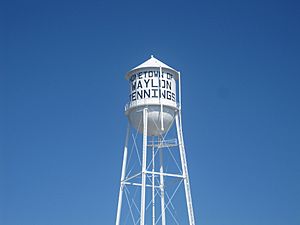 Littlefield, TX Water Tower IMG 4780