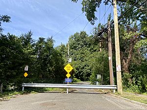 Old Courthouse Road Overpass, Manhasset Hills, Long Island, New York October 2, 2021 D