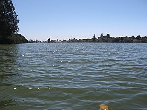 Pinto Lake