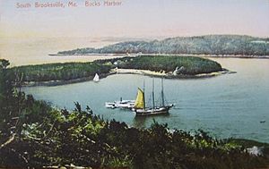 View of Buck's Harbor c. 1910