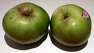 Brimley Apples