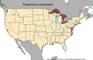 Range of the Tubenose Goby in North America