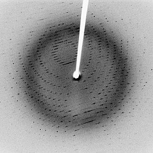 X-ray diffraction pattern 3clpro