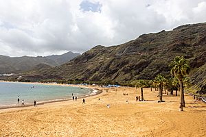 At Playa de Las Teresitas, Tenerife 2021 003